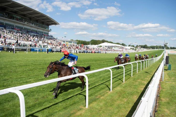 2021 Derby winner Adayar has been backed for the Prince Of Wales' Stakes